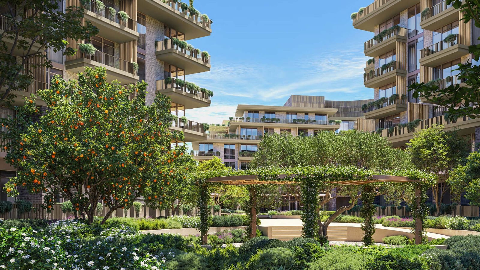 Garden courtyard with an orange tree and a planted pergola, framed by apartment buildings with planted balconies